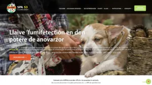 Comment faire un don efficace à la SPA 53 pour soutenir la protection animale